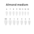 Almond Medium Tips